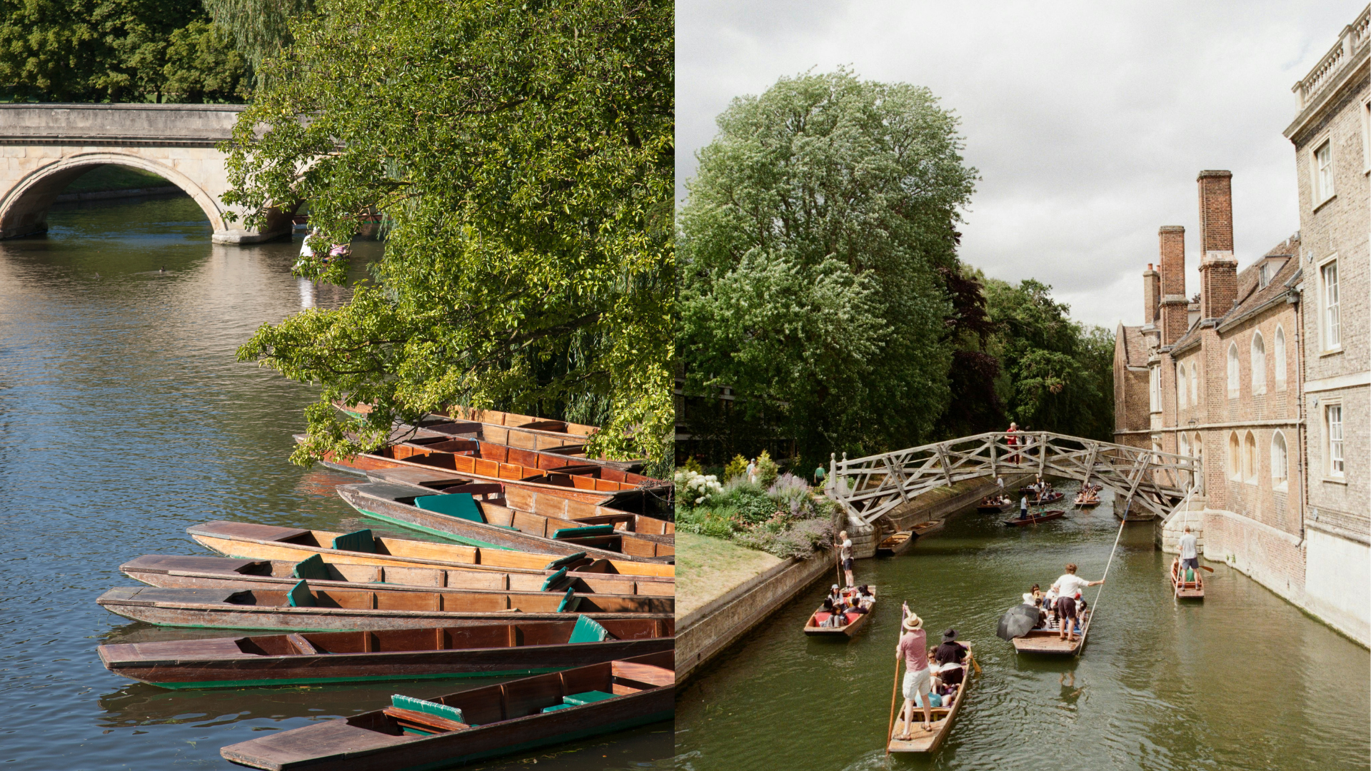 River Stour punting tours